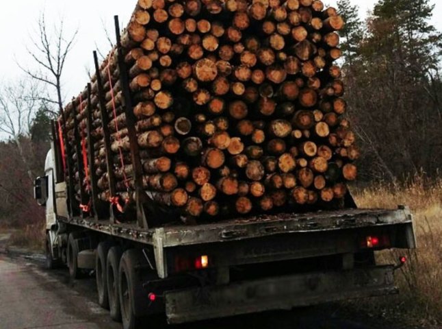 Поліція Тячівщини затримала вантажівку "Урал" із сумнівною деревиною