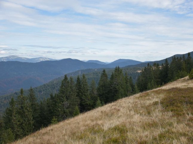 Туристичний збір на Закарпатті: за 2025 рік зібрали на третину більше коштів