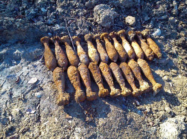 На Свалявщині селянин виявив кілька десятків небезпечних снарядів