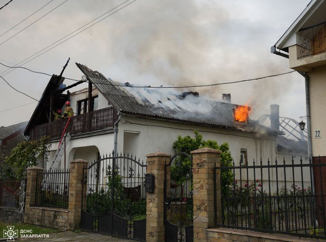 Жителі села викликали рятувальників: що сталося в Ужгородському районі Жителі села викликали рятувальників: що сталося в Ужгородському районі