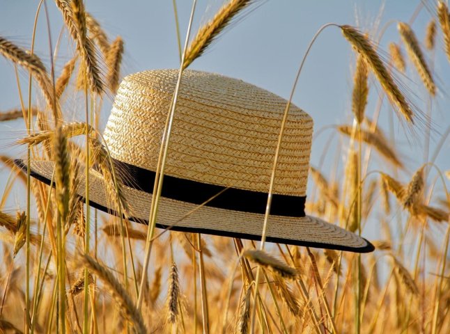 Погода: як розпочнеться тиждень і коли прийде спека +40°
