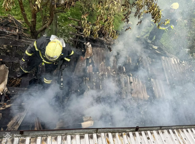 Рятувальники гасили пожежу у Хусті. Тут загорілась надвірна споруда