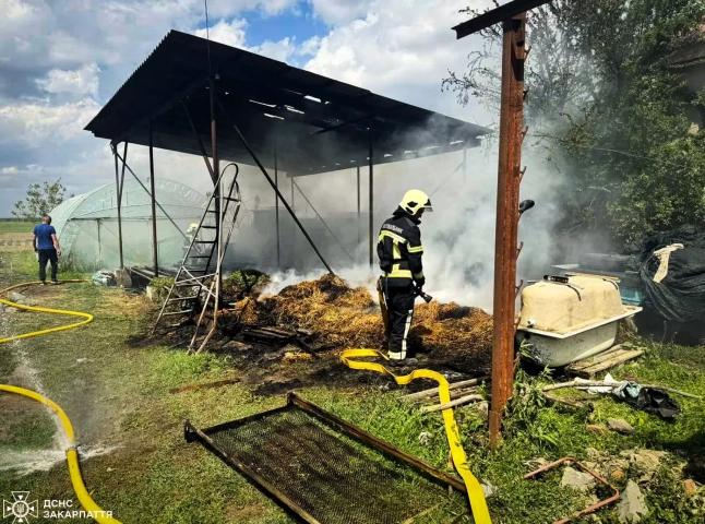 Пожежа була з ускладненням: рятувальники гасили вогонь в одному із сіл Берегівщини Пожежа була з ускладненням: рятувальники гасили вогонь в одному із сіл Берегівщини