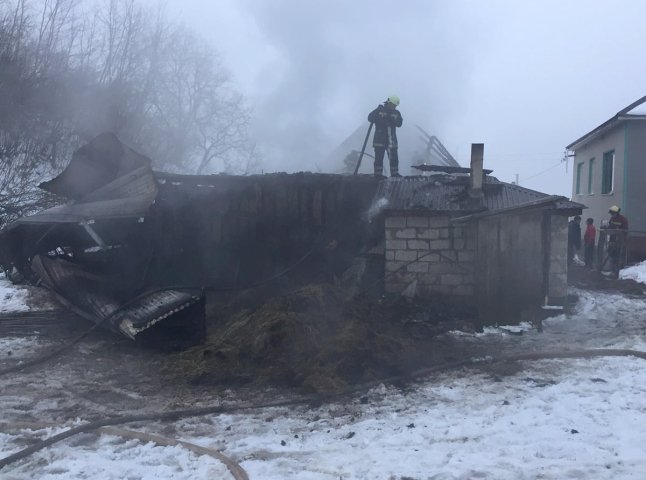Люди рятували свійську худобу та намагались засипати вогонь снігом: на Закарпатті трапилась пожежа