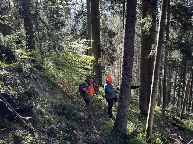 Знайдено хлопця та дівчину, які вчора ввечері заблукали в горах Знайдено хлопця та дівчину, які вчора ввечері заблукали в горах