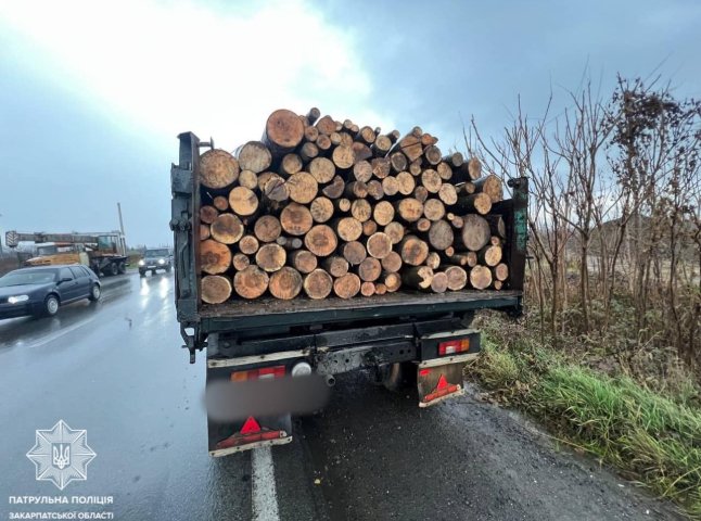 У Мукачеві патрульні затримали водія, який незаконно перевозив деревину