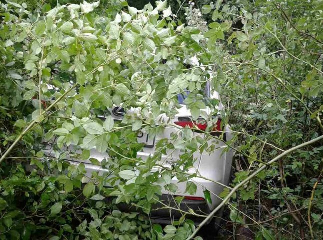 Білий "Лексус", який втік з кордону, збив шлагбаум і травмував прикордонника