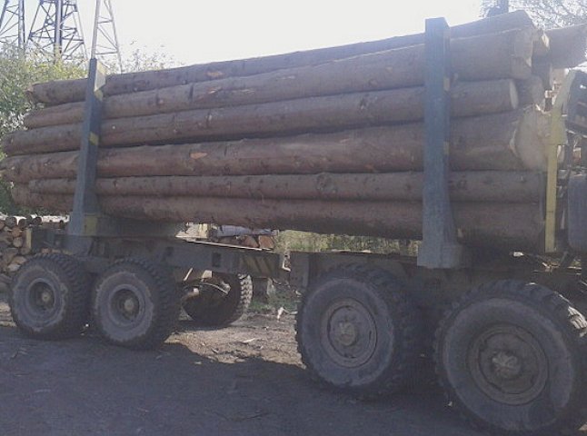 На Великоберезнянщині затримано вантаж з лісовою деревиною