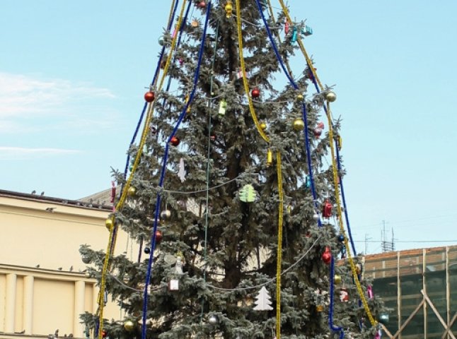 В Ужгороді засяяла святковими вогнями новорічна ялинка