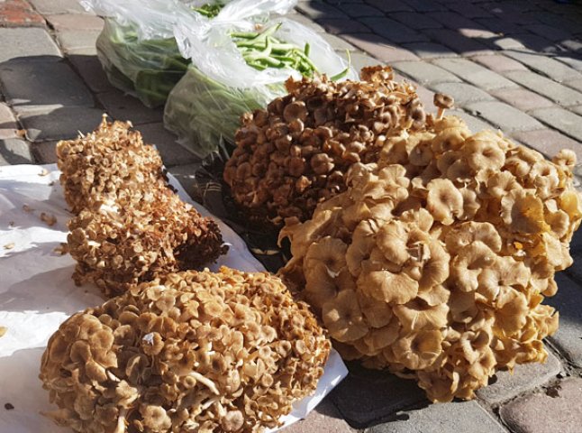 На ринку в Ужгороді продають незвичні гриби