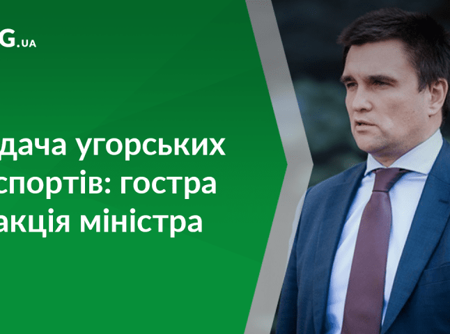 Міністр Клімкін зробив гучну заяву щодо видачі угорських паспортів у Берегові