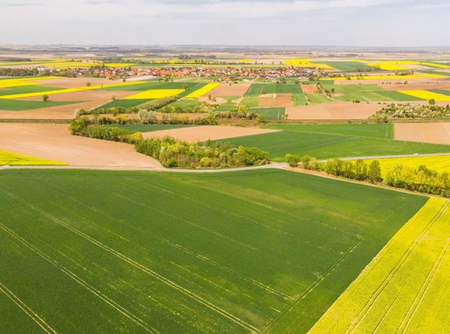 Вартість змінилася: скільки сьогодні коштує гектар землі в Україні