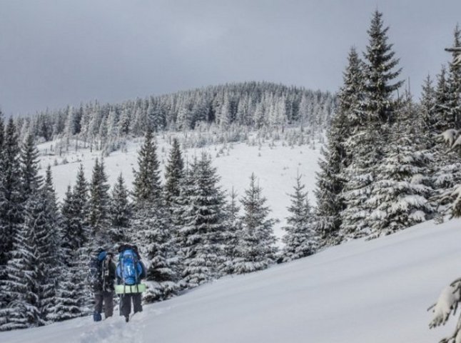 Члени збірної команди України з вільної боротьби заблукали в горах