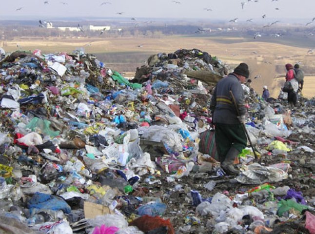 Прокуратура вимагає ліквідувати несанкціоновані сміттєзвалища на Ужгородщині