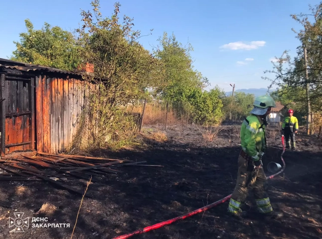 Через сильний вітер вогонь із сухої рослинності перекинувся на господарську споруду