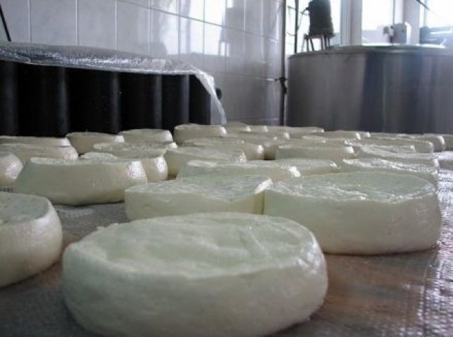 На Хустщині сир виготовляють за швейцарською технологією