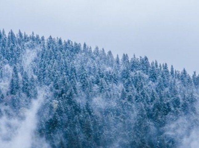 На Міжгірщині Синевирський перевал вкрило снігом