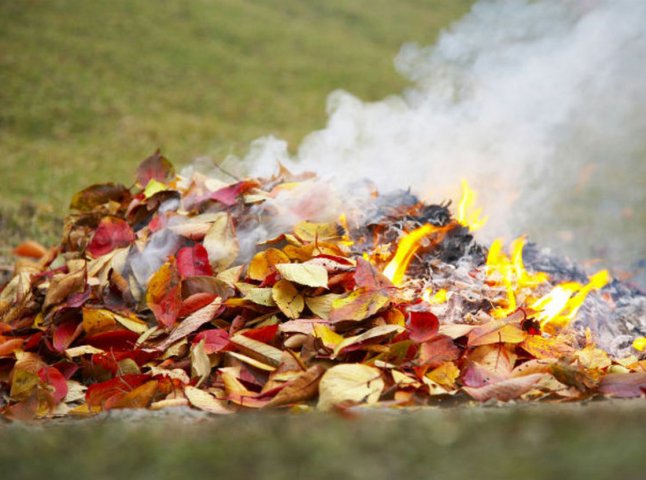 Закарпатці продовжують спалювати сухе листя та траву
