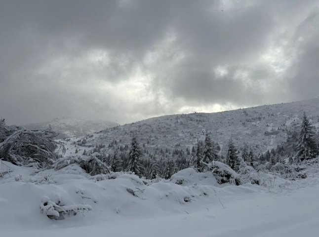 У прикордонні Закарпаття на чергування вийшов хижий «інспектор»