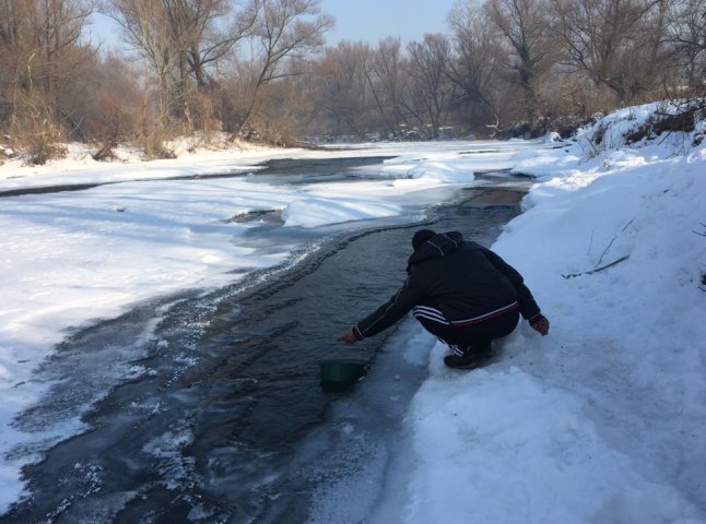 Роми Ужгорода, які живуть у мікрорайоні "Радванка", змушені пити воду з річки