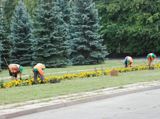 Ужгородська міська влада планує озеленювати місто спільно з науковцями УжНУ