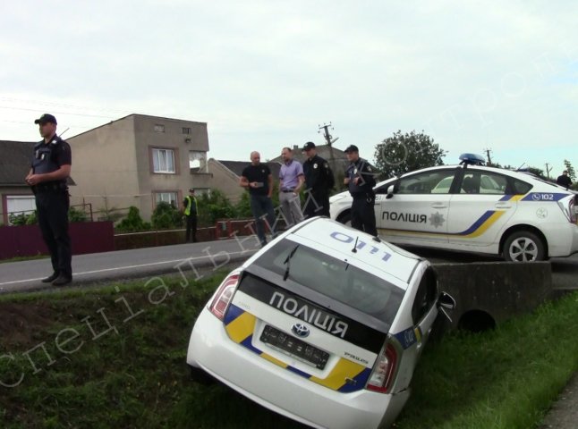 На Ужгородщині працівниці поліції не вдалось об’їхати корів