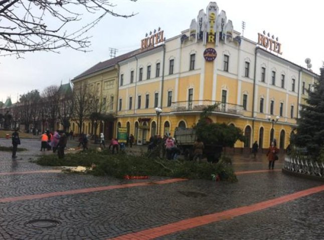 Свято скінчилось: у Мукачеві розібрали головну ялинку міста (ФОТО)