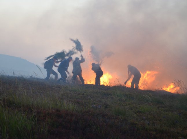 Вогнеборці попередили загорання лісу на високогір’ї Карпат