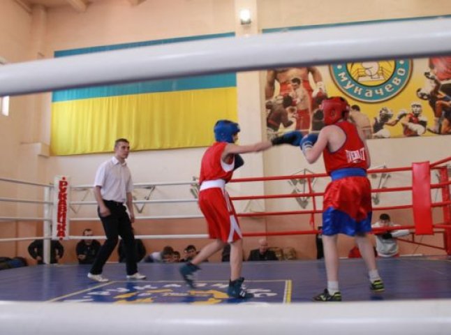 У Мукачеві відбувся юнацький турнір з боксу (ФОТО)