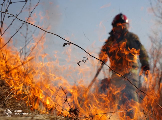 На Закарпатті не вщухають пожежі в екосистемах