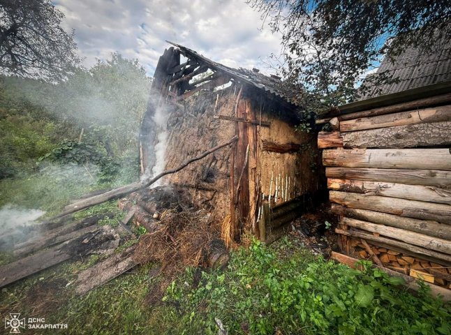 Дитина ледь не загинула під час пожежі: подробиці Дитина ледь не загинула під час пожежі: подробиці