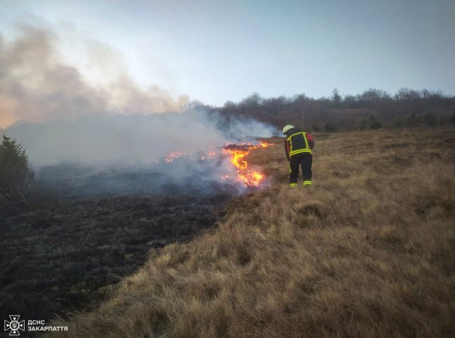 Чоловік знаходиться у реанімаційному відділенні: що сталось на Хустщині