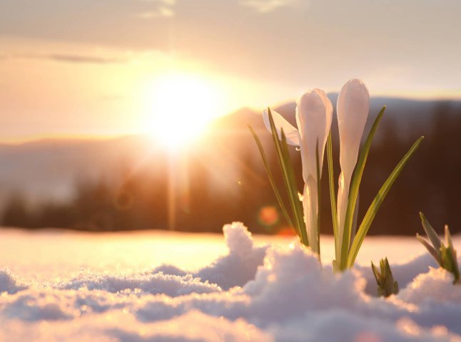 Майже весна: до якого числа в лютому триватиме значне потепління