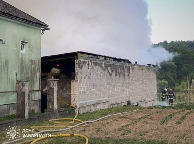 Вогонь з гаража сягав до будинку на Ужгородщині