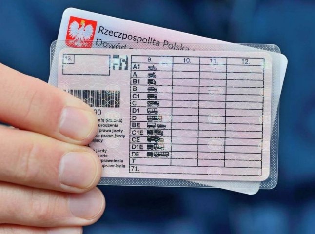 Чи зможуть українці отримати посвідчення водія в Польщі