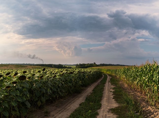 Українцям доведеться переоформити землю — скільки буде часу та що таке узуфрукт