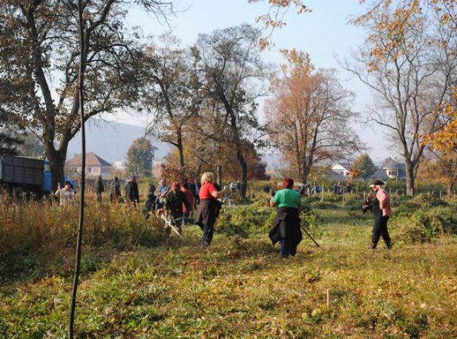 Влада Мукачева бореться з чагарниками (ФОТО)