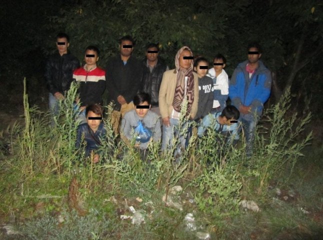 Українські, словацькі та угорські прикордонники спільно затримали велику групу нелегалів