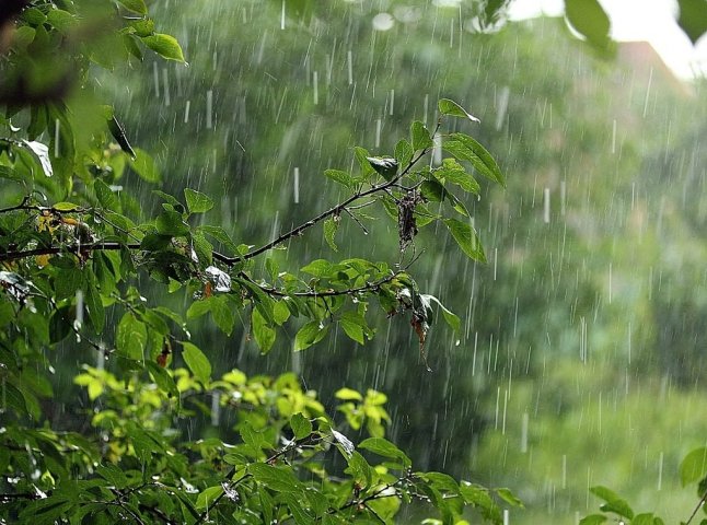 Закарпатців попереджають про небезпеку через сильні дощі