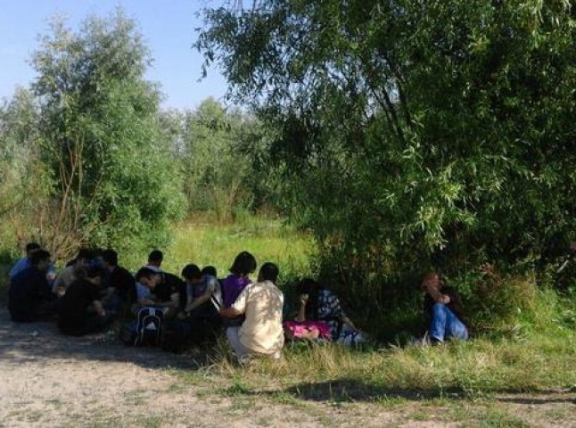 На Закарпатті прикордонники затримали одну з найбільших груп незаконних мігрантів