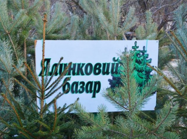 В Ужгороді буде новорічний ялинковий ярмарок