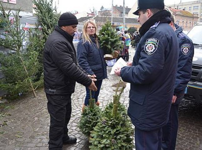 Ужгородські правоохоронці перевіряють підприємців на законність продажу ялинок (ФОТО)