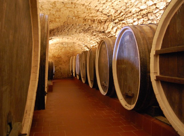 Закарпатські виробники вина та коньяку поповнили державну скарбницю на 15 мільйонів гривень