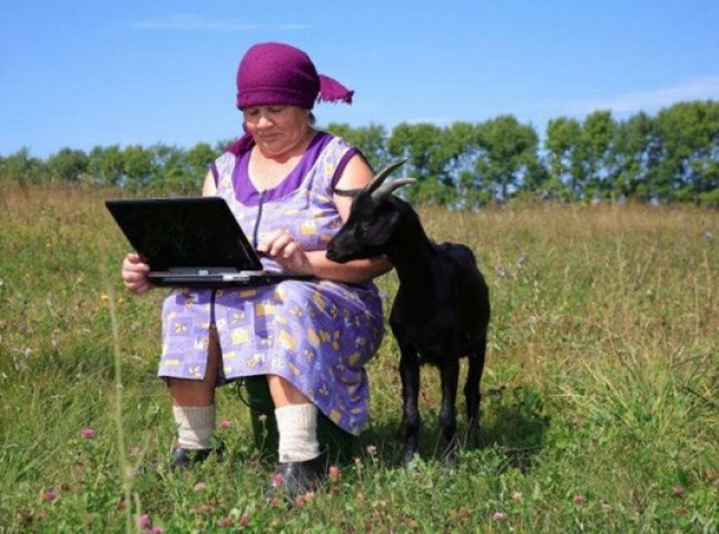 Закарпаття посіло перше місце в Україні за кількістю сільських мешканців, які мають доступ до Інтернету