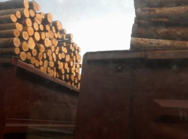 Москаль просить прем’єр-міністра України відкликати із Закарпаття вагони з «паливною деревиною»