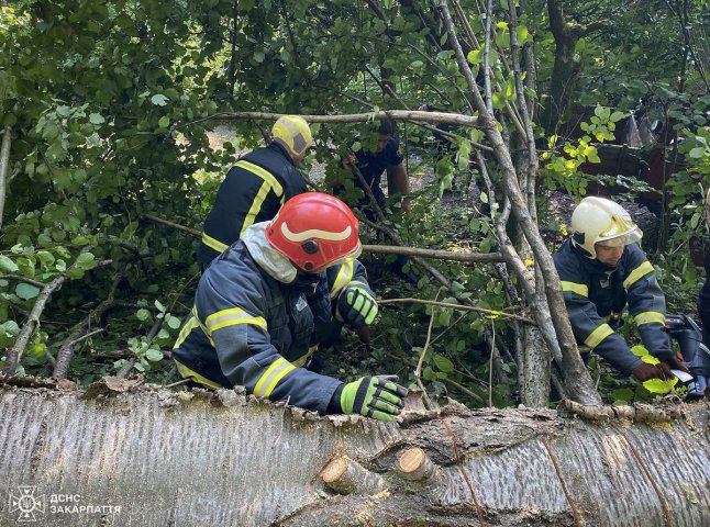 Рятувальники повідомили про випадок, який трапився на Хустщині