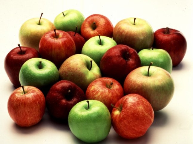 Аграрники Закарпаття переконані, що яблука стануть новою родзинкою краю (ВІДЕО)