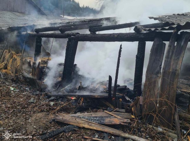 Рятувальники гасили пожежу на Тячівщині