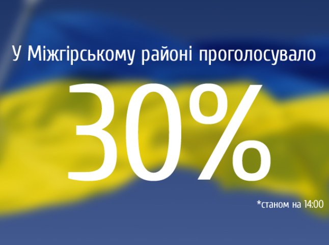 Станом на 14:00 у Міжгірському районі проголосувало 30% виборців