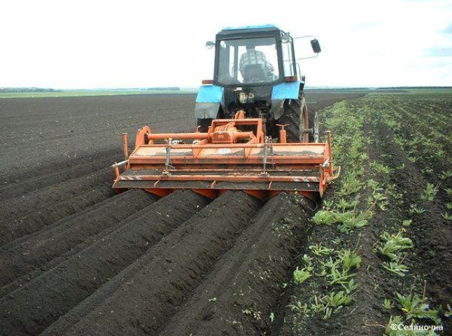 У Закарпатті бракує агрономів – краю замало фахівців у сільському господарстві